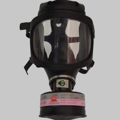 "防毒面具能防病毒吗？真相揭秘！"