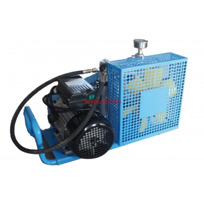 WY-100空气填充泵,空气呼吸器填充泵，空气呼吸器充气